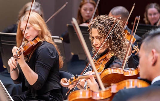 More Info for Friday Favorites: Beethoven "Eroica" Symphony