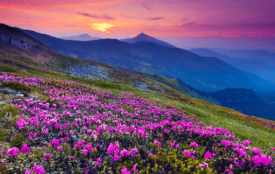 More Info for Friday Favorites: Appalachian Spring