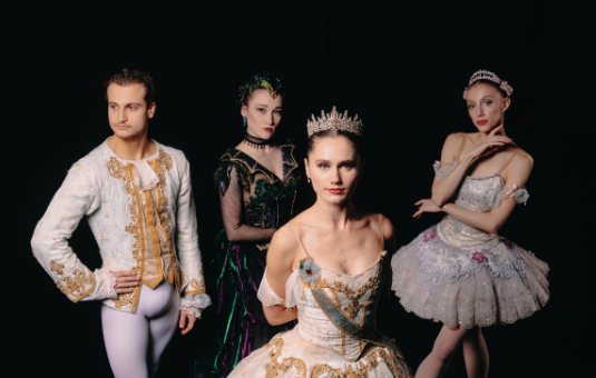 More Info for Sleeping Beauty