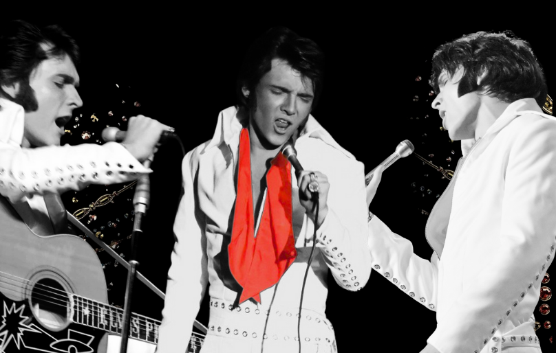 ELVIS: In Person - Starring Matt Stone