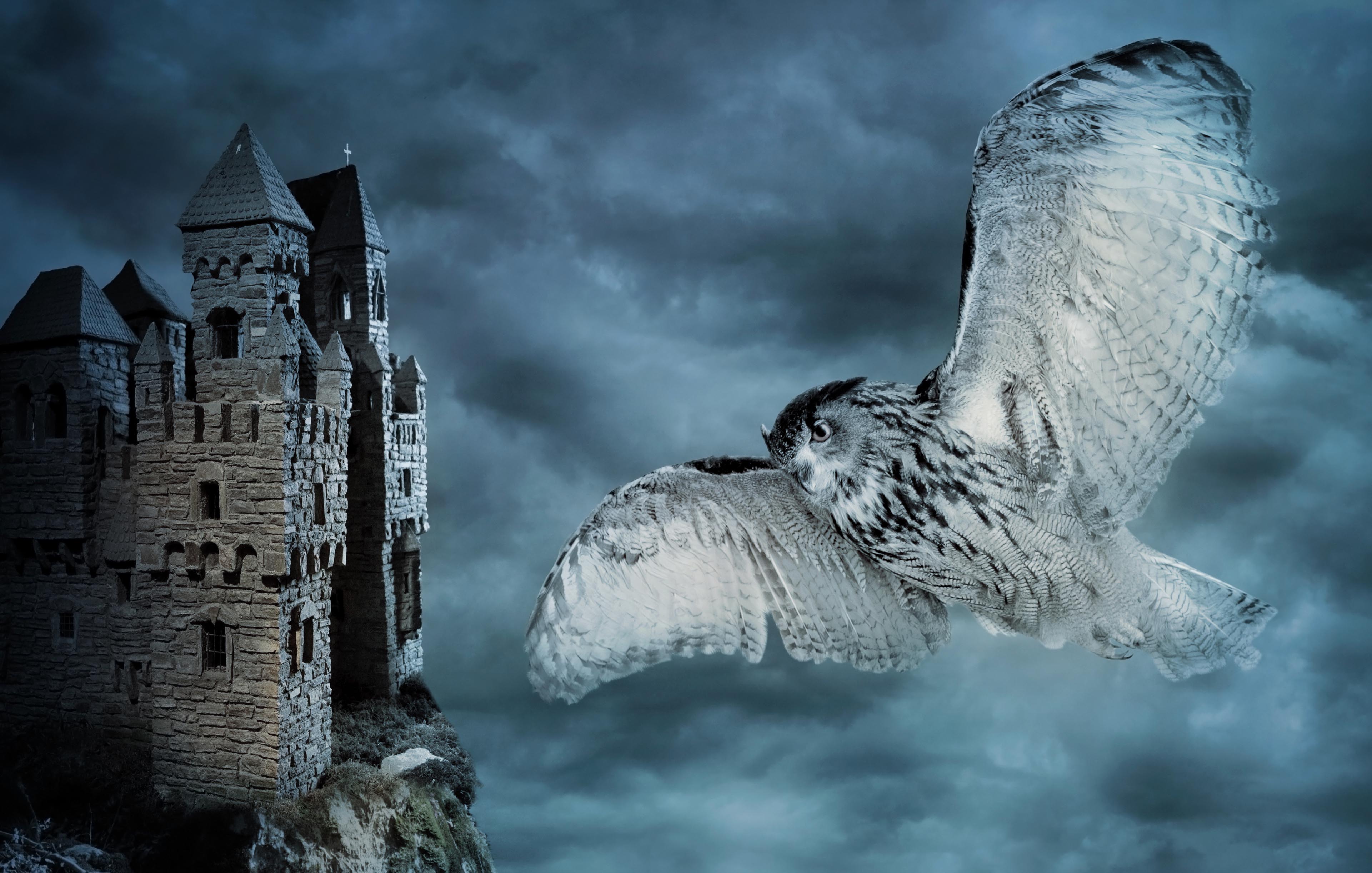 Family Fun Concert: Halloween at Hogwarts