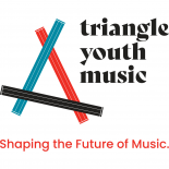 triangle youth music logo