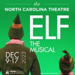 A green background with an elf shown in the bottom left and large text that says elf