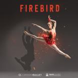 Grey background with dancer in red costume in jumping pose with Firebird logo
