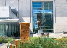 The new bee hive sits in the garden at the Raleigh Convention Center with the Sir Walter Raleigh statue in the background