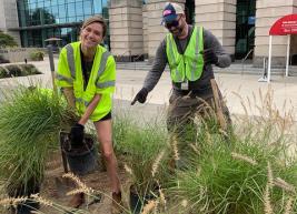 Team members from our venue work to plant flowers and native grasses in our new garden