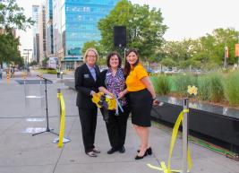 Representatives from the North Carolina Symphony, Duke Energy and the Raleigh Cenvention and Performing Arts Complex cut the ribbon on our Lichtin Plaza bee hive